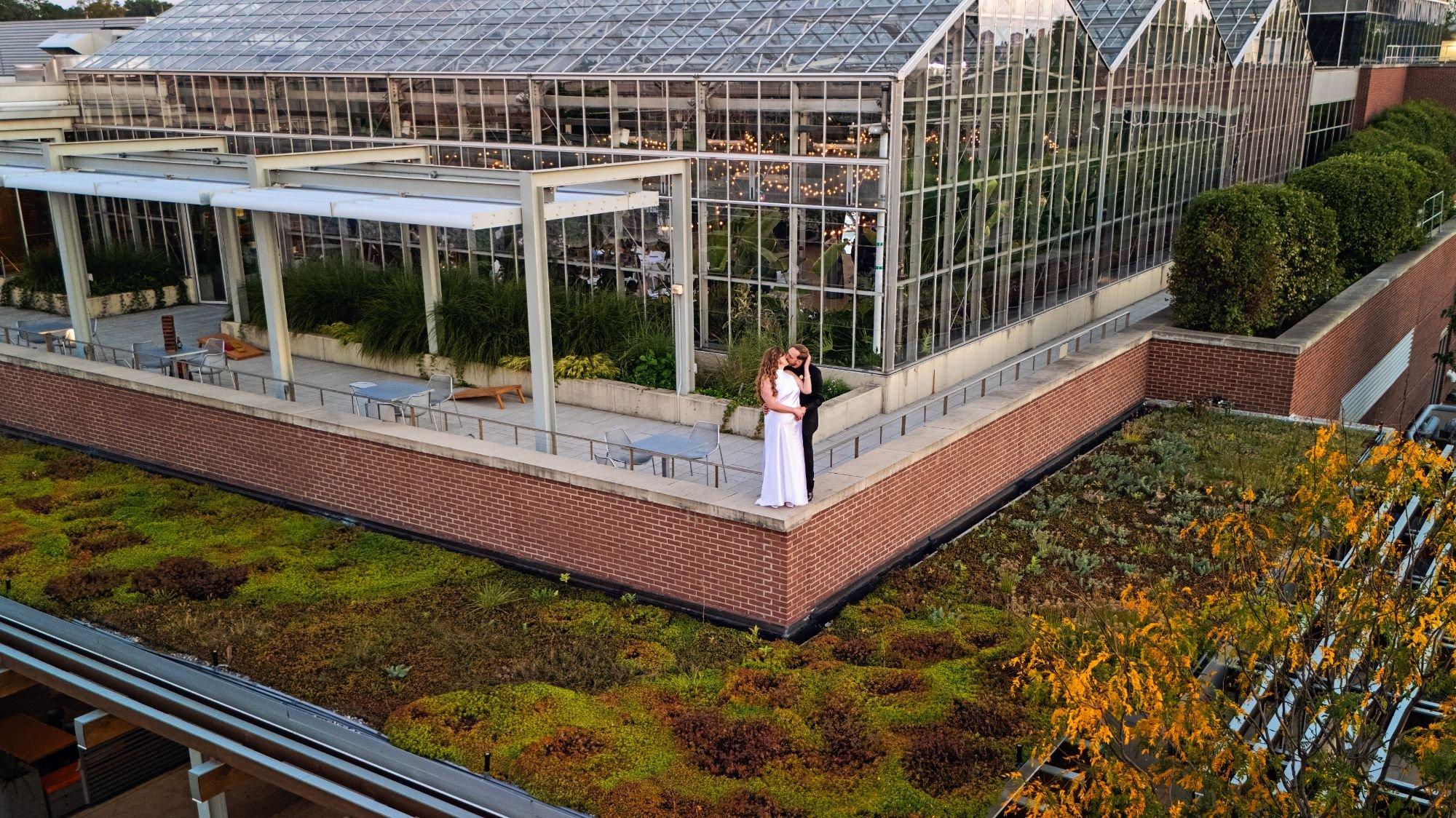 carousel-hero-element image-1